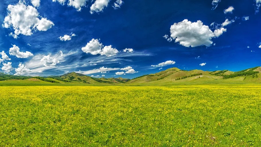 Wiesenpanorama-Landschaft mit Bergen und viel blauem Himmel - Weite mit Wölkchen